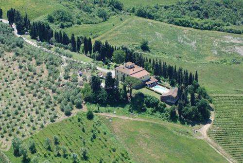 www.imoricci.it