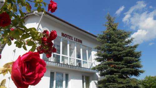 www.hotelleon.pl