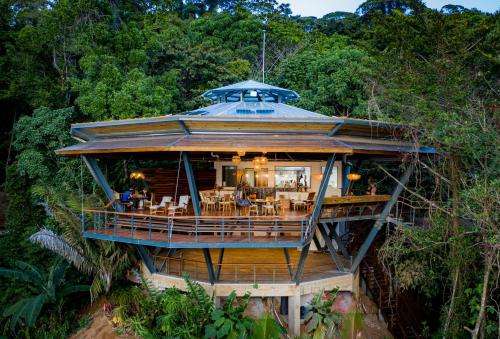 www.thejunglelodge.com