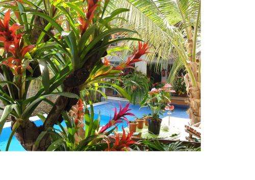 www.ecologeci.com