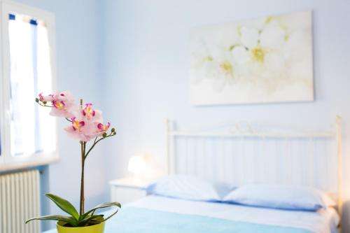 www.residencekimba.it