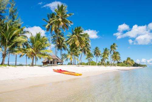 www.butiamamafiaisland.com