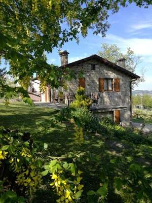 www.agriturismoilfalco.it