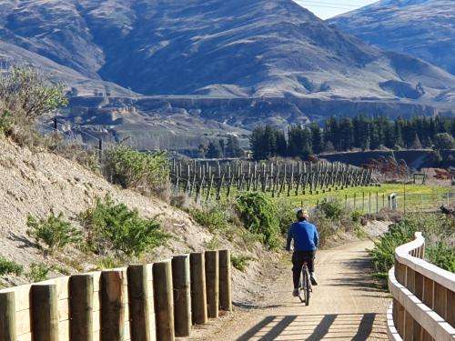www.vinesonbannockburn.co.nz