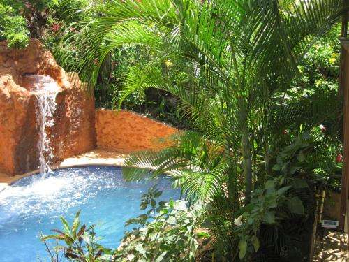 www.roatanbackpackers.com