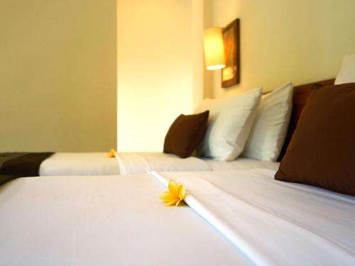 www.edenhousebali.com
