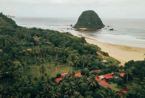 www.mojosurfindo.com