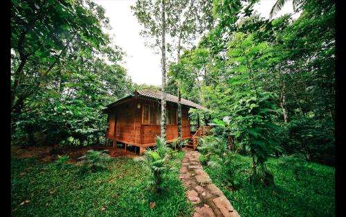 www.bamboo-creek.com