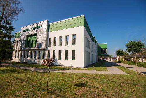 www.hoteldobrezlasu.pl