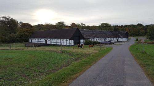 www.lehnsgaard.eu