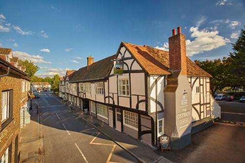 www.theostrichcolnbrook.co.uk