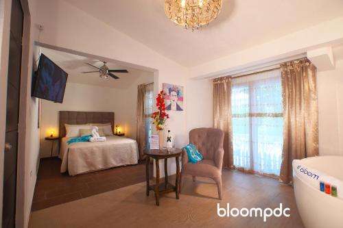 www.bloompdc.com