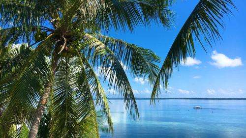 www.sandingan-diveresort.com
