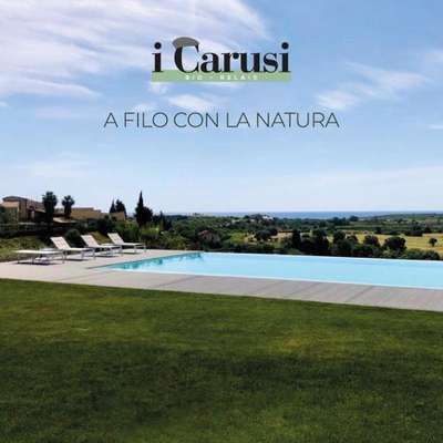 www.icarusi.net
