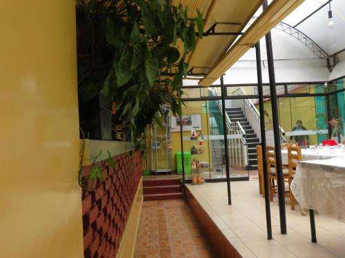 www.hospedajedelpilar.com.pe