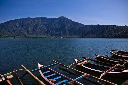 www.strawberryhillbali.com