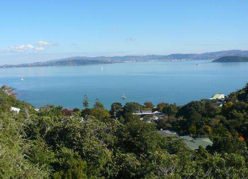 www.breakawayatyorkbay.co.nz