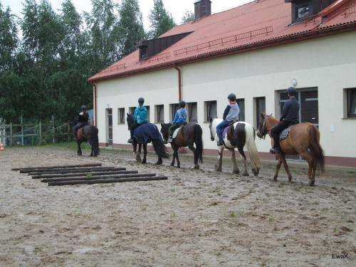 www.centrumkrzyzewo.pl
