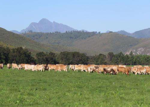 www.naturesway-sa.com