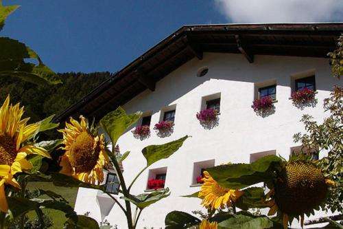 www.tuene.it
