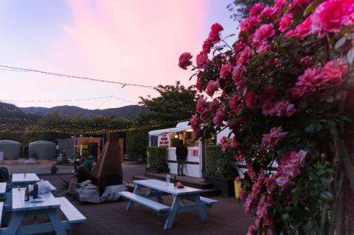 www.adventureinn.co.nz