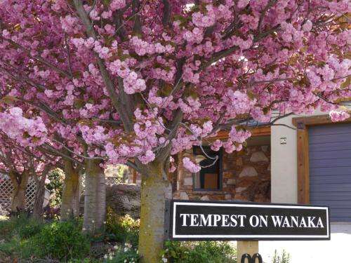 www.tempestonwanaka.co.nz