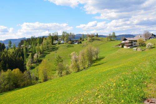 www.ochnerbauer.at