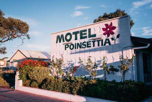www.motelpoinsettia.com