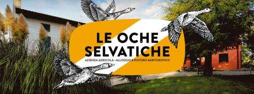 www.agricolastefanutti.com