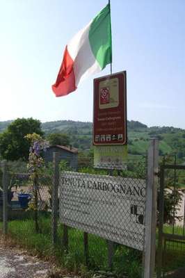 www.tenutacarbognano.com