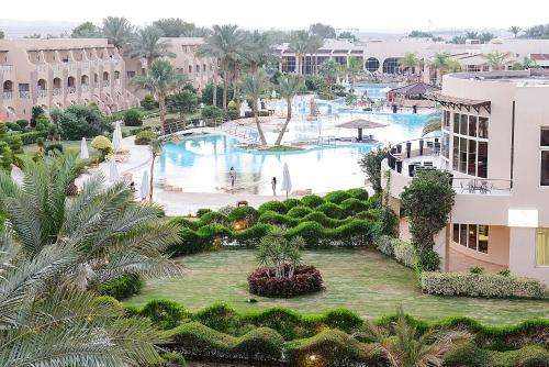 www.primalife-egypt.com