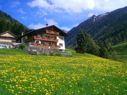 www.alpegger.com