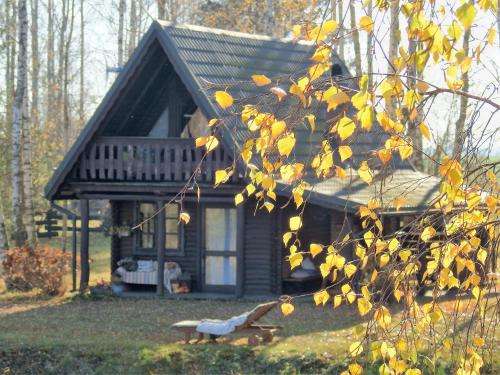 www.wieza-marzen.pl