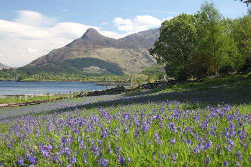www.discoverglencoe.scot