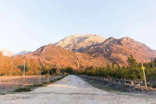 www.whitebridge.co.za