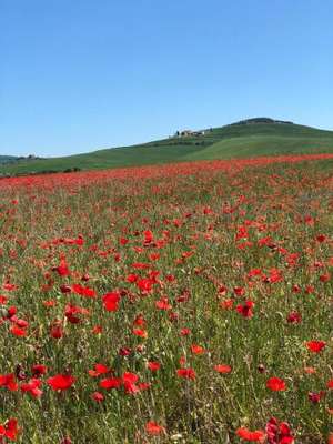 www.tobruk.it
