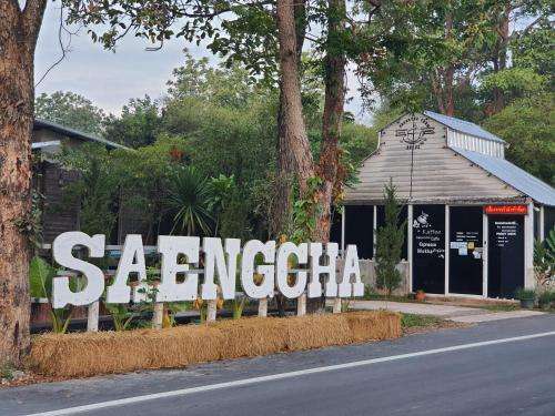 www.saengcha.com