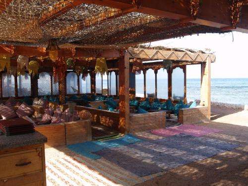 www.starofdahab.com