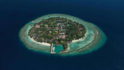 www.bandosmaldives.com