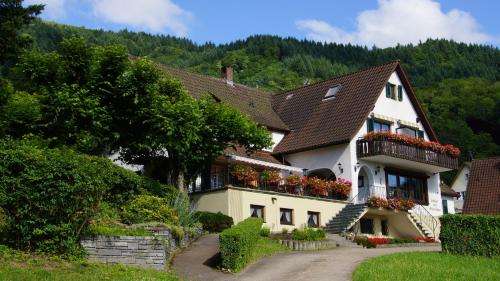www.gruener-baum-sehringen.de