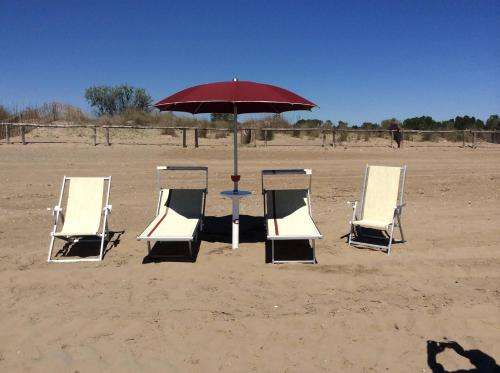 www.dascarpa.it