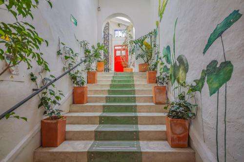 www.botanicohostel.com