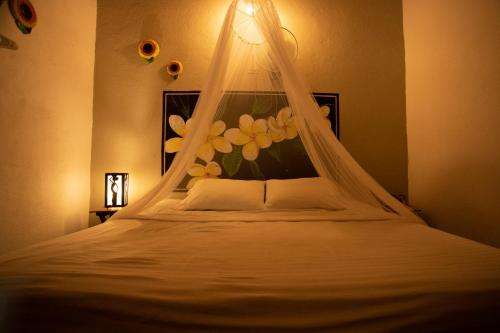 www.viavia.world