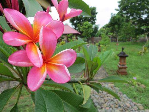 www.tegalsari-bali.com