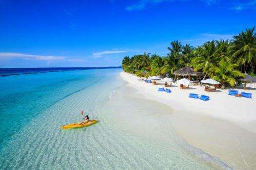 www.kurumba.com