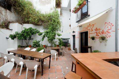 www.oasisgranada.com