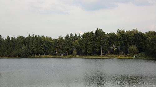 www.ferienpark-im-harz.de