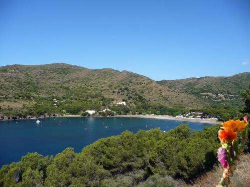 www.montjoi.com