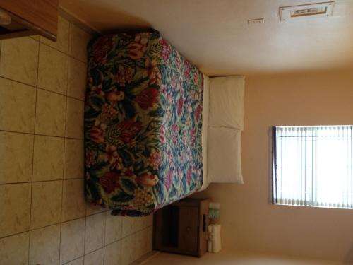 www.collinsavenuehostel.us