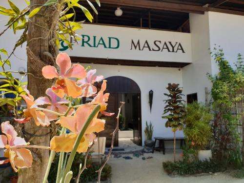 www.riadmasaya.com